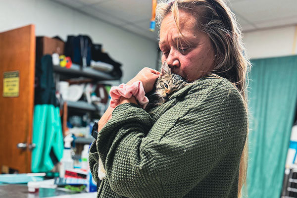 Small dog getting medicine